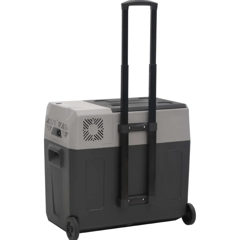 vidaXL Koelbox met wielen en adapter 40 L polypropeen zwart en grijs
