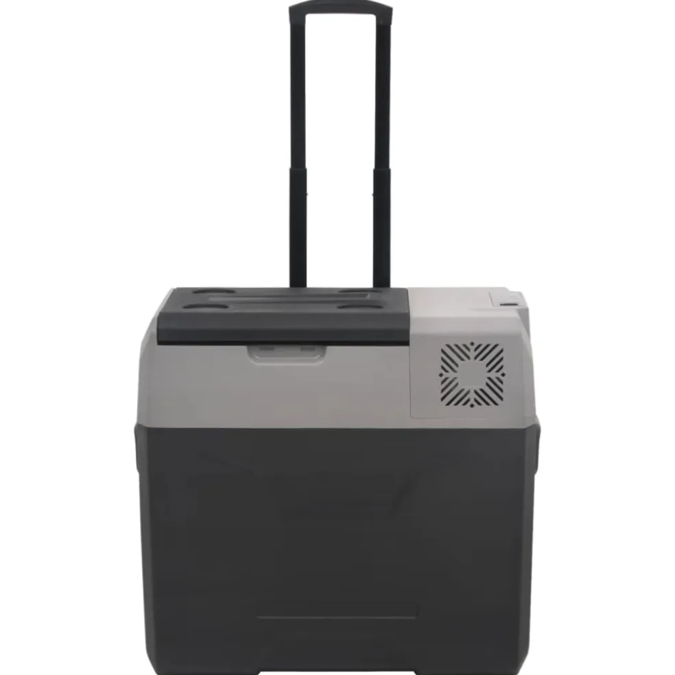 vidaXL Koelbox met wielen en adapter 40 L polypropeen zwart en grijs