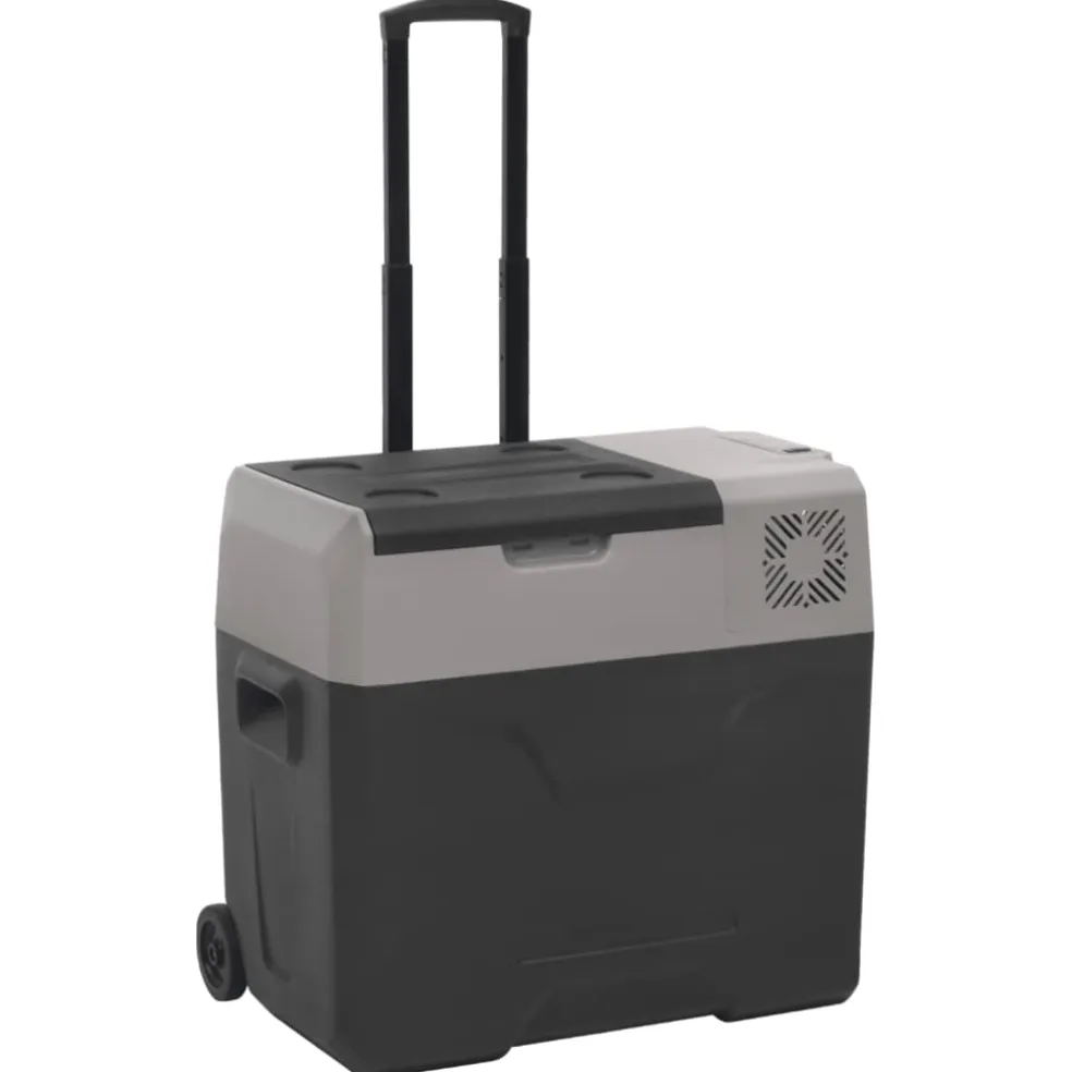 vidaXL Koelbox met wielen en adapter 40 L polypropeen zwart en grijs