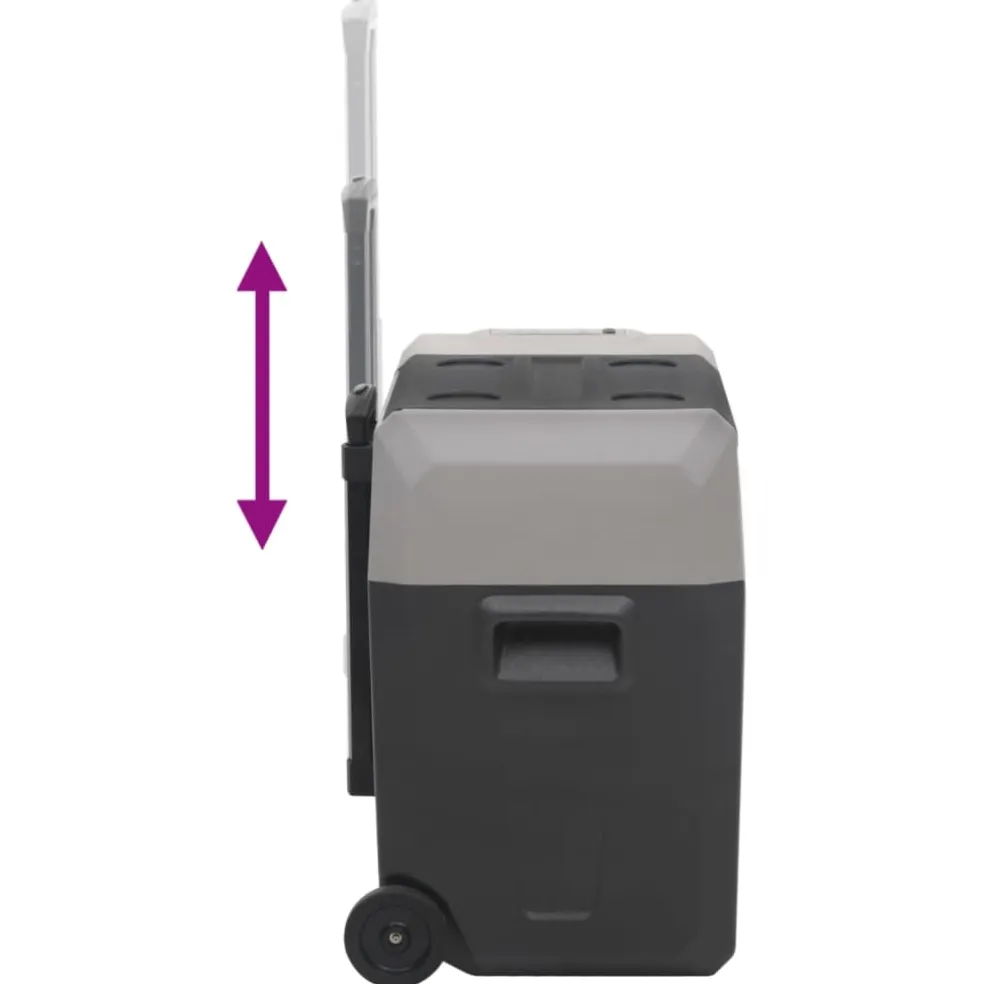 vidaXL Koelbox met wielen en adapter 40 L polypropeen zwart en grijs