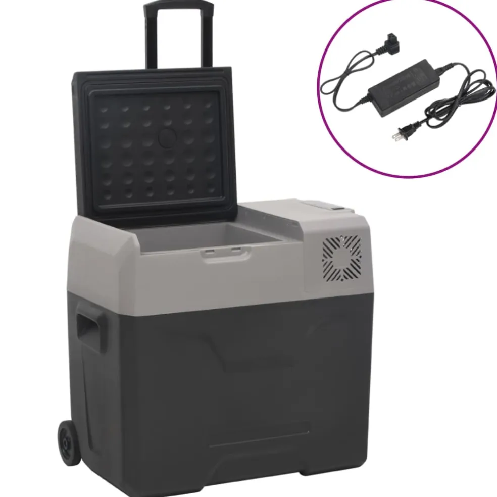 vidaXL Koelbox met wielen en adapter 50 L polypropeen zwart en grijs