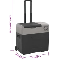 vidaXL Koelbox met wielen en adapter 50 L polypropeen zwart en grijs