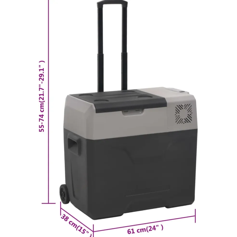 vidaXL Koelbox met wielen en adapter 50 L polypropeen zwart en grijs