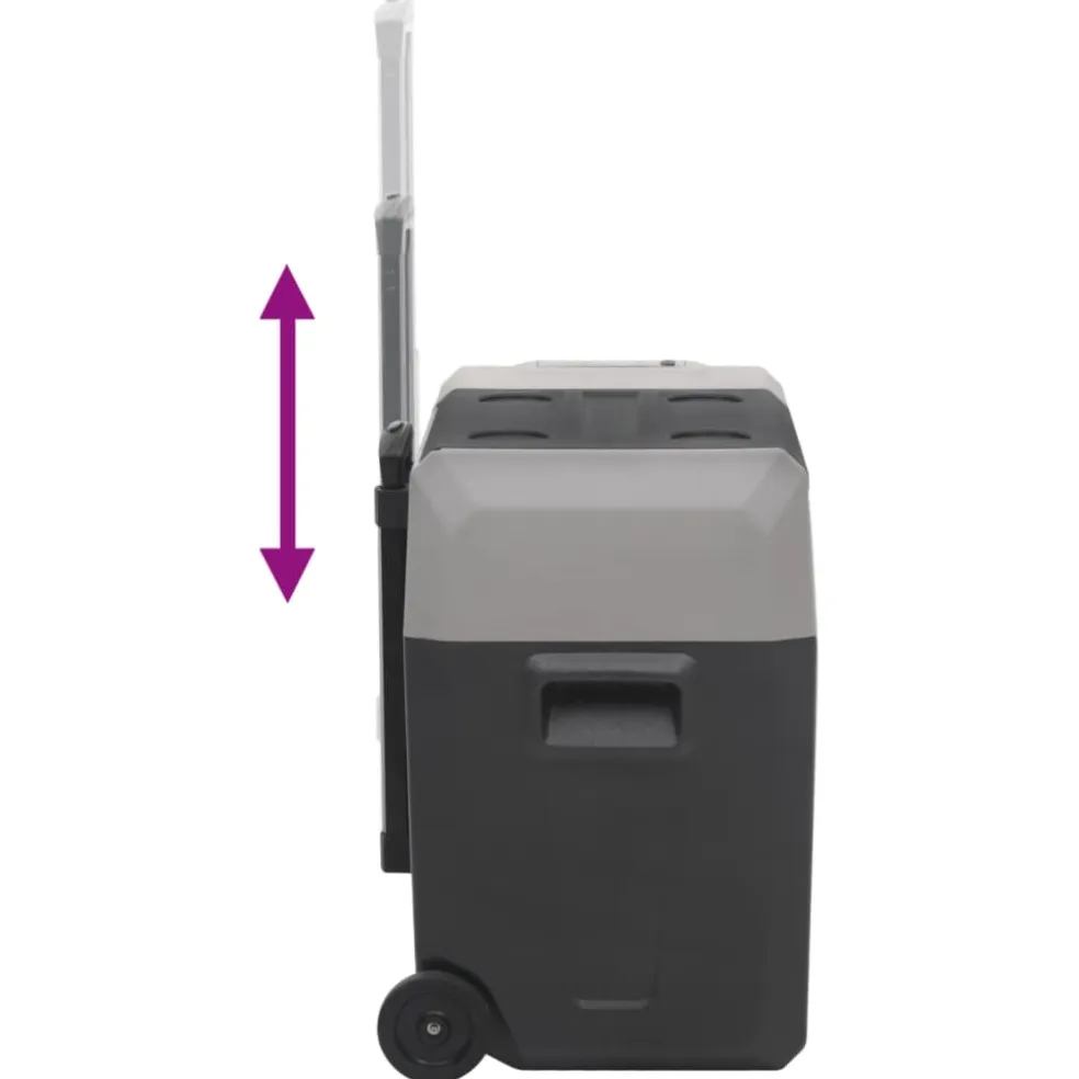 vidaXL Koelbox met wielen en adapter 50 L polypropeen zwart en grijs