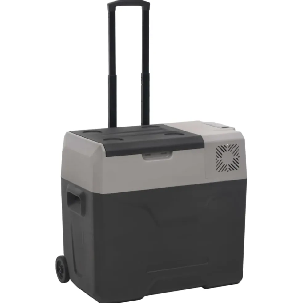 vidaXL Koelbox met wielen en adapter 50 L polypropeen zwart en grijs