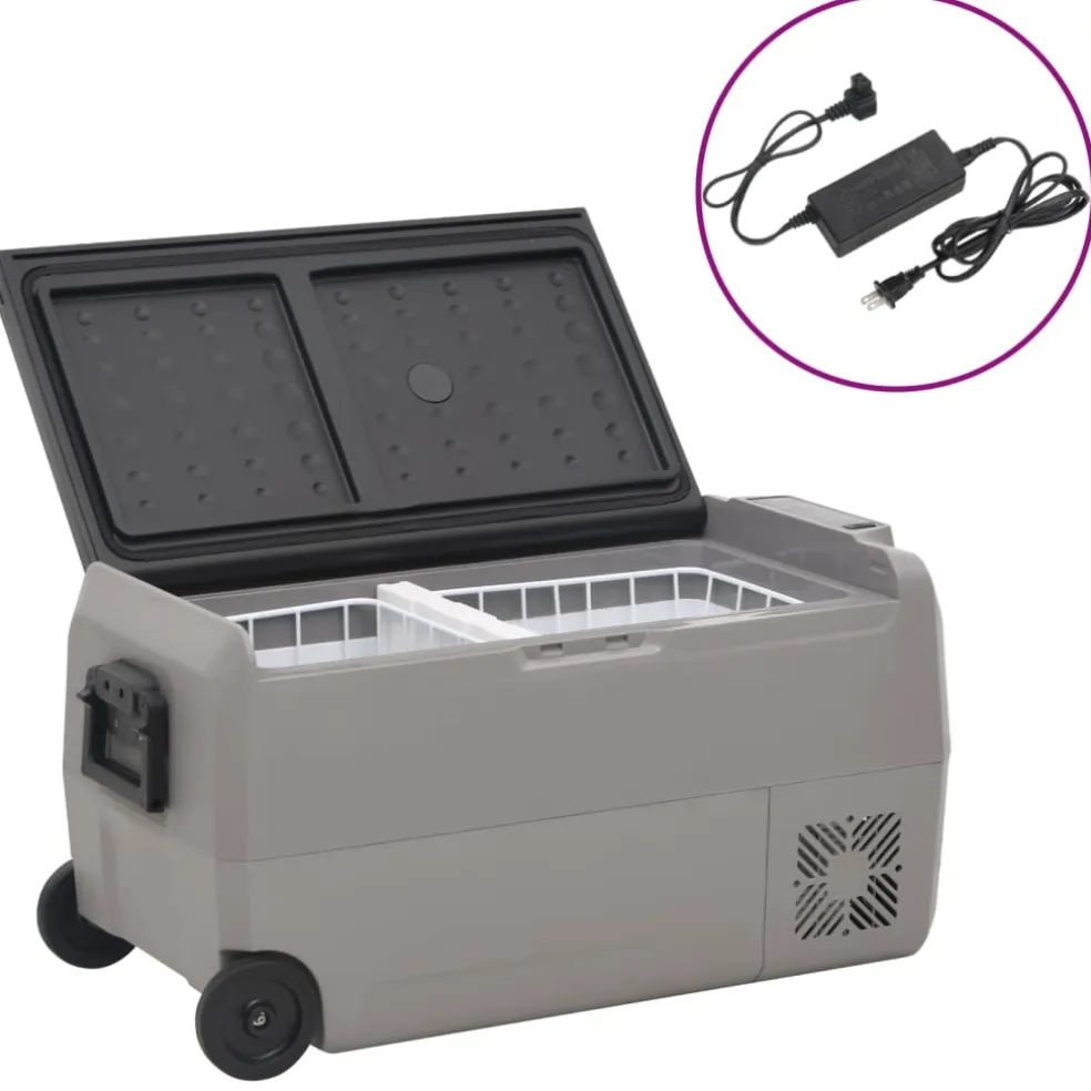 vidaXL Koelbox met wielen en adapter 36 L PP en PE zwart en grijs