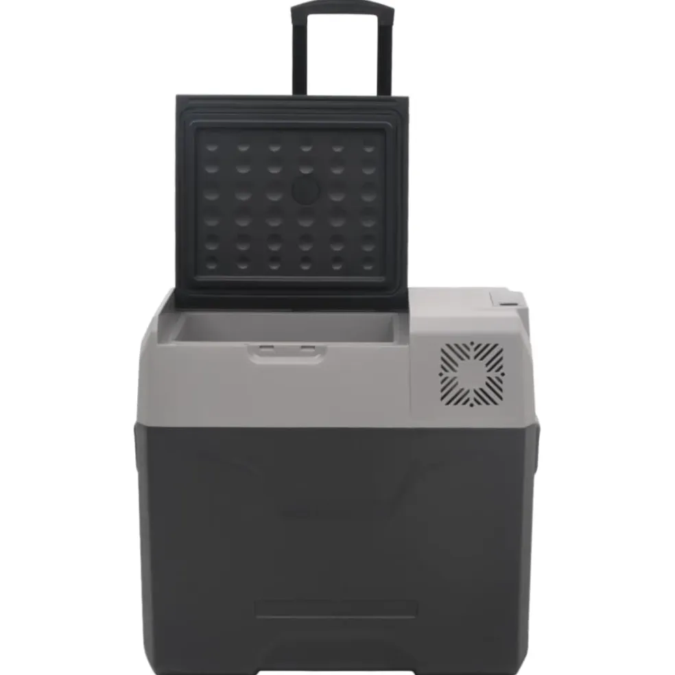 vidaXL Koelbox met wielen en handvat 50 L polypropeen zwart en grijs