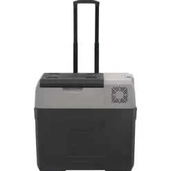 vidaXL Koelbox met wielen en handvat 50 L polypropeen zwart en grijs