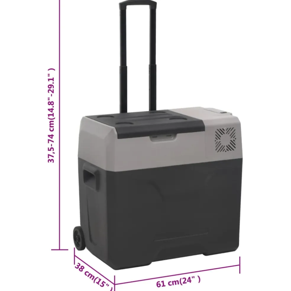 vidaXL Koelbox met wielen en handvat 40 L polypropeen zwart en grijs