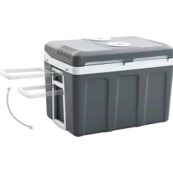 vidaXL Koelbox thermo-elektrisch draagbaar 12 V 230 V E 40 L