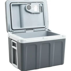 vidaXL Koelbox thermo-elektrisch draagbaar 12 V 230 V E 40 L