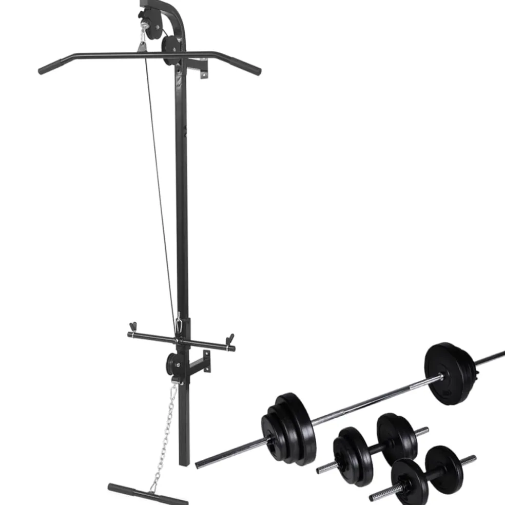 vidaXL Krachttoren voor aan de wand met halterset 30,5 kg