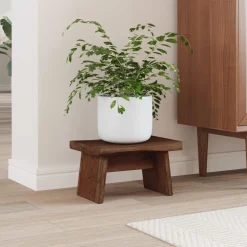 vidaXL Kruk Naturel 29 x 20 x 17 cm Mahoniehout