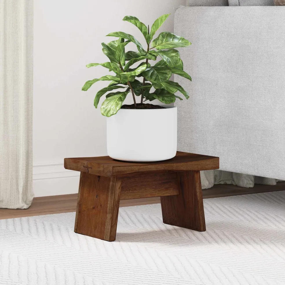 vidaXL Kruk Naturel 29 x 20 x 17 cm Mahoniehout