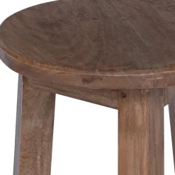 vidaXL Kruk Naturel 28 x 28 x 50 cm Mahoniehout