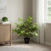 vidaXL Kunst Ficus Plant Groen 73 x 16 x 60 cm Stof en Hout