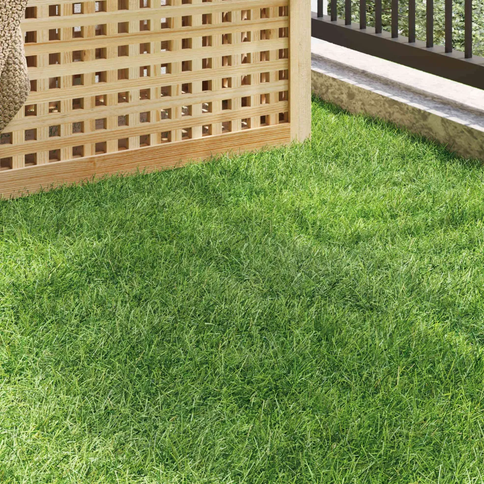 vidaXL Kunstgras 100 x 200 cm Green PP & PE