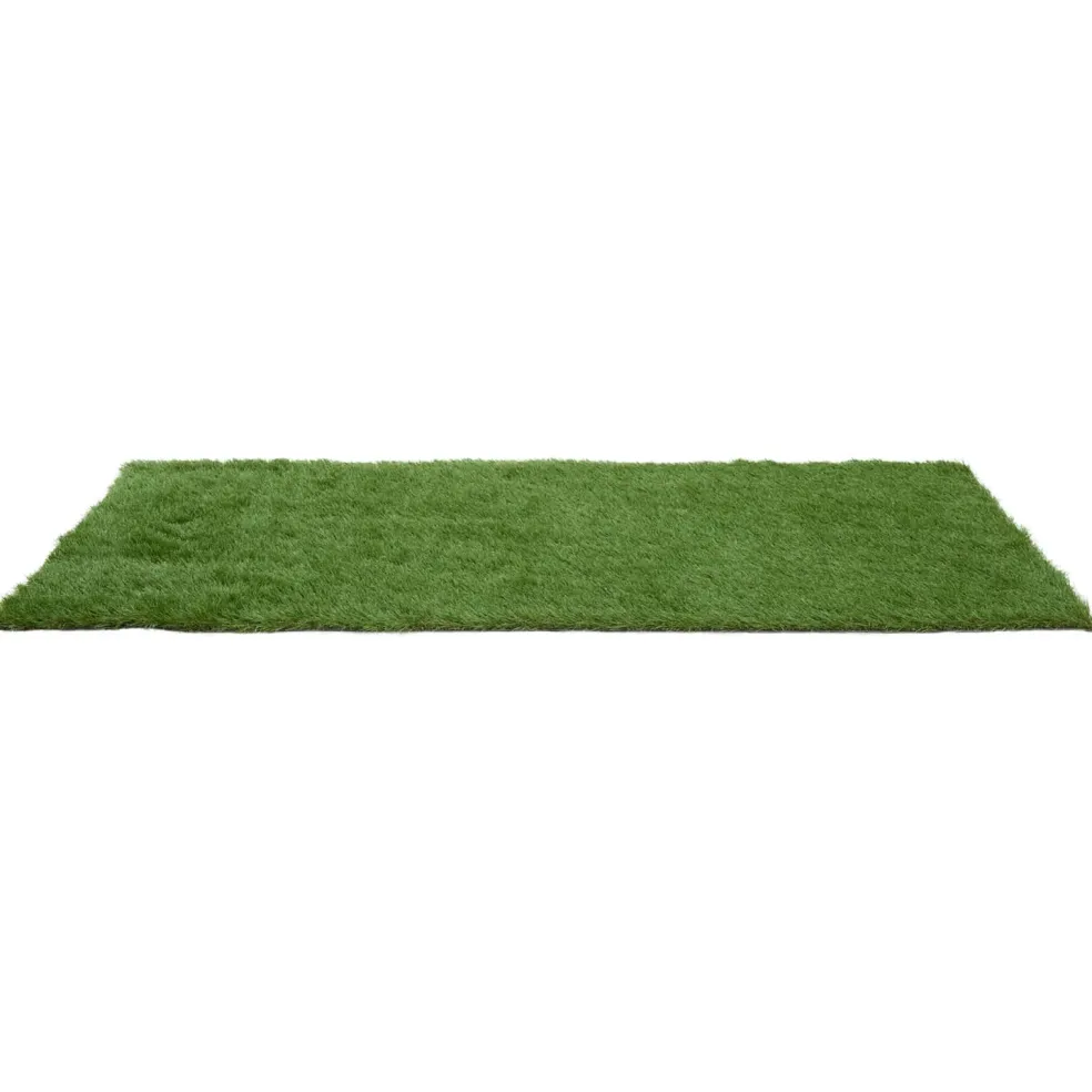 vidaXL Kunstgras 100 x 200 cm Green PP & PE
