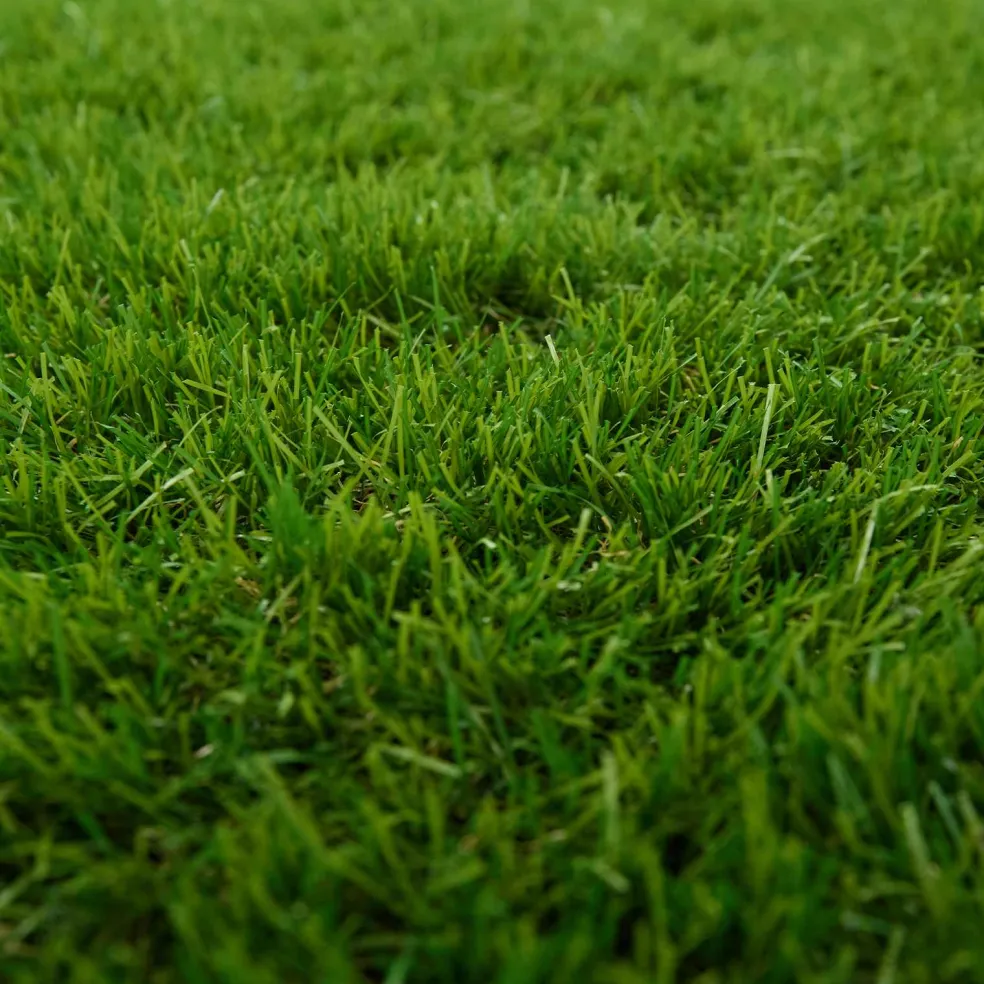 vidaXL Kunstgras 100 x 200 cm Green PP & PE