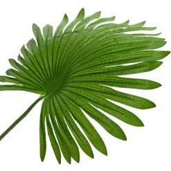 vidaXL Kunstmatige Fan Palmboom Groen 75 x 25 x 180 cm Stof en Bamboe