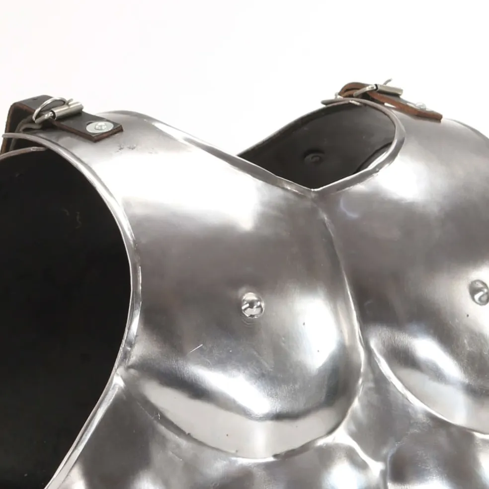 vidaXL Kuras Romeins replica LARP staal zilverkleurig