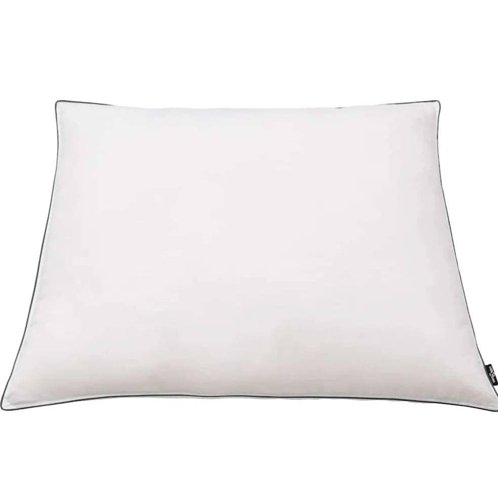 vidaXL Kussens 2 st licht 80x80 cm dons-/verenvulling wit