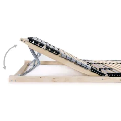 vidaXL Lattenbodems 2 st met 42 latten 7 zones 70x200 cm