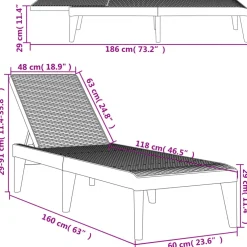 vidaXL Ligbed 186x60x29 cm polypropeen antracietkleurig