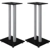 vidaXL Luidsprekerstandaards 2 st 2 pijlers gehard glas zwart zilver
