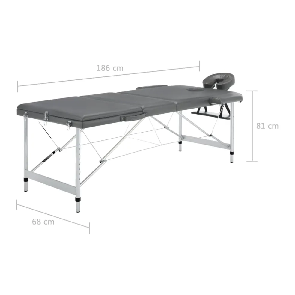 vidaXL Massagetafel met 3 zones 186x68 cm aluminium frame antraciet