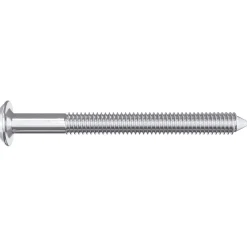 vidaXL Meubelschroeven 2 st Zilver M6 x 60 mm Staal