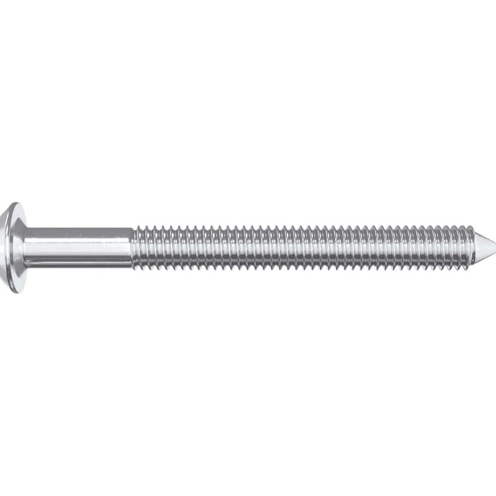 vidaXL Meubelschroeven 2 st Zilver M6 x 60 mm Staal