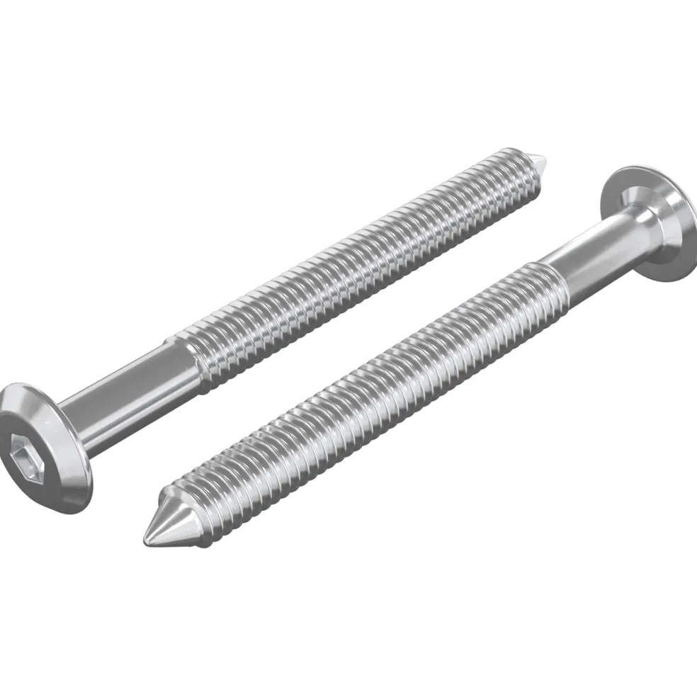 vidaXL Meubelschroeven 2 st Zilver M6 x 60 mm Staal