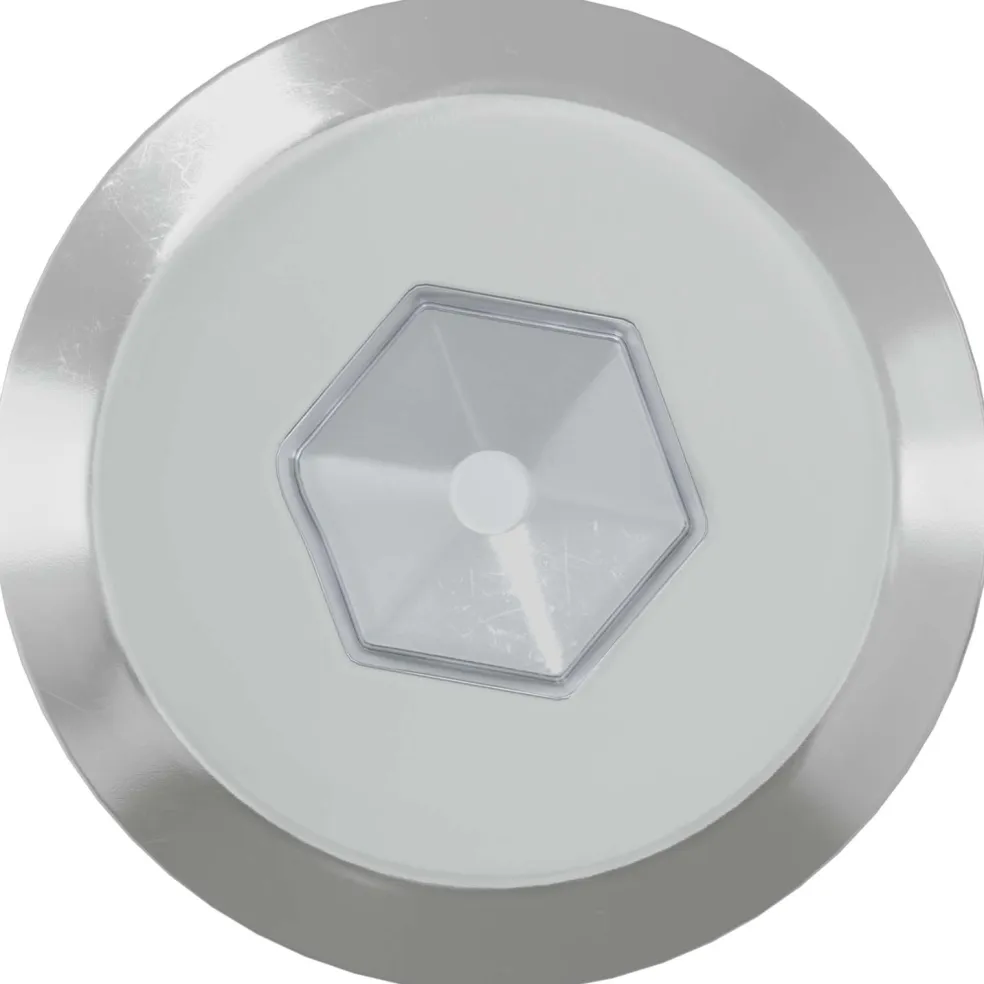 vidaXL Meubelschroeven 2 st Zilver M6 x 60 mm Staal
