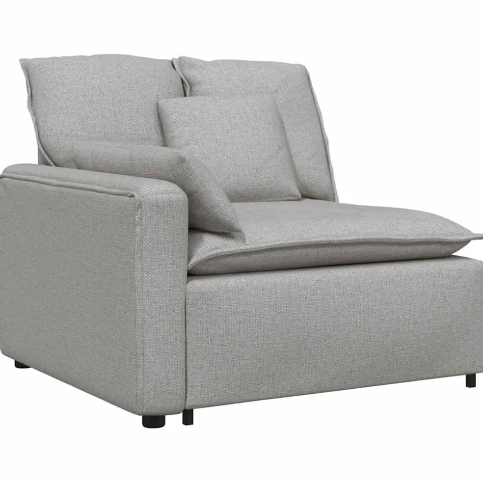 vidaXL Modulaire bank met kussens wolk grijs