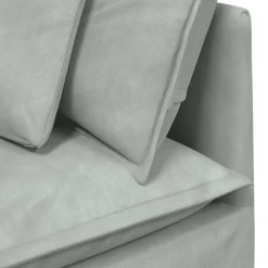 vidaXL Modulaire bank met kussens fluweel lichtgrijs