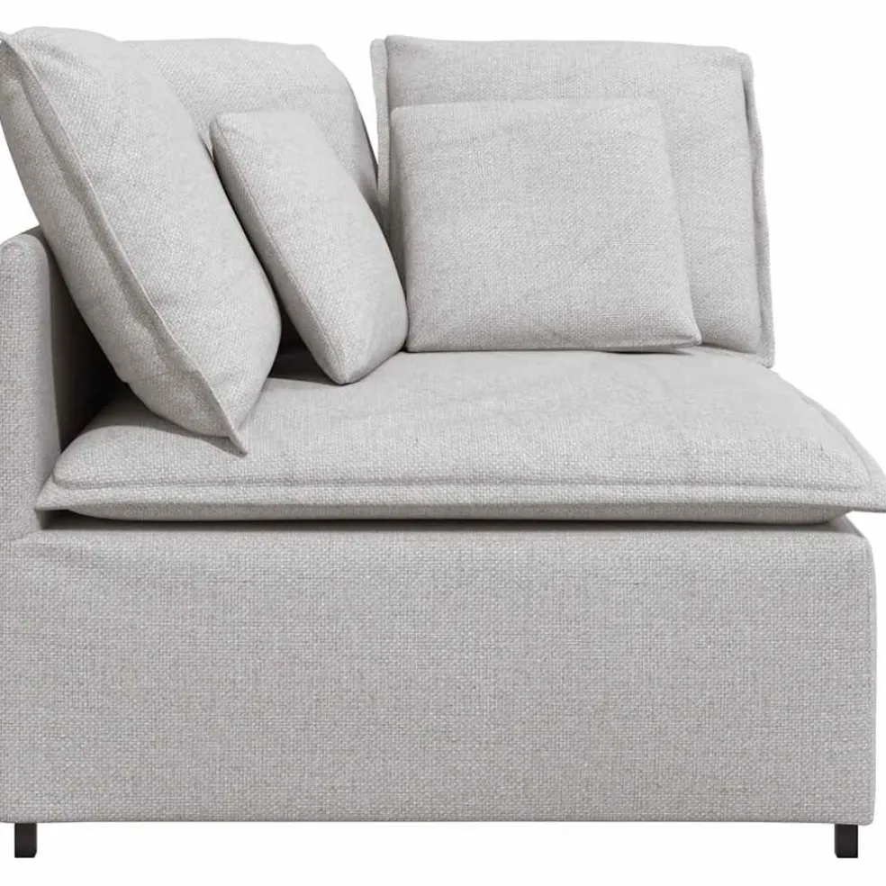 vidaXL Modulaire hoekmodule bank met kussens 100 cm wolk grijs