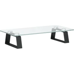 vidaXL Monitorstandaard 40x20x8 cm gehard glas en metaal zwart