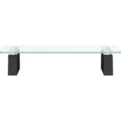 vidaXL Monitorstandaard 40x20x8 cm gehard glas en metaal zwart