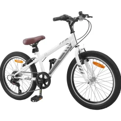 vidaXL Mountainbike 20 Inch 6-Snelheid voor 5-8 jaar oud Wit