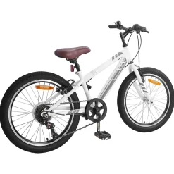 vidaXL Mountainbike 20 Inch 6-Snelheid voor 5-8 jaar oud Wit