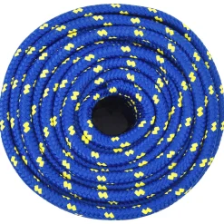 vidaXL Multifunctioneel gebruikstouw 12 mm 100 m Blauw PP