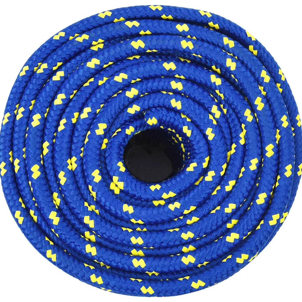 vidaXL Multifunctioneel gebruikstouw 12 mm 100 m Blauw PP