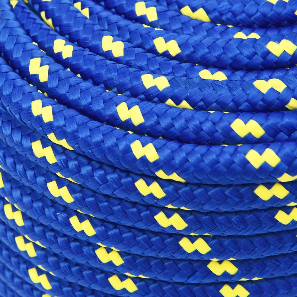 vidaXL Multifunctioneel gebruikstouw 12 mm 100 m Blauw PP