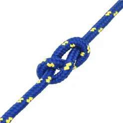 vidaXL Multifunctioneel gebruikstouw 12 mm 100 m Blauw PP