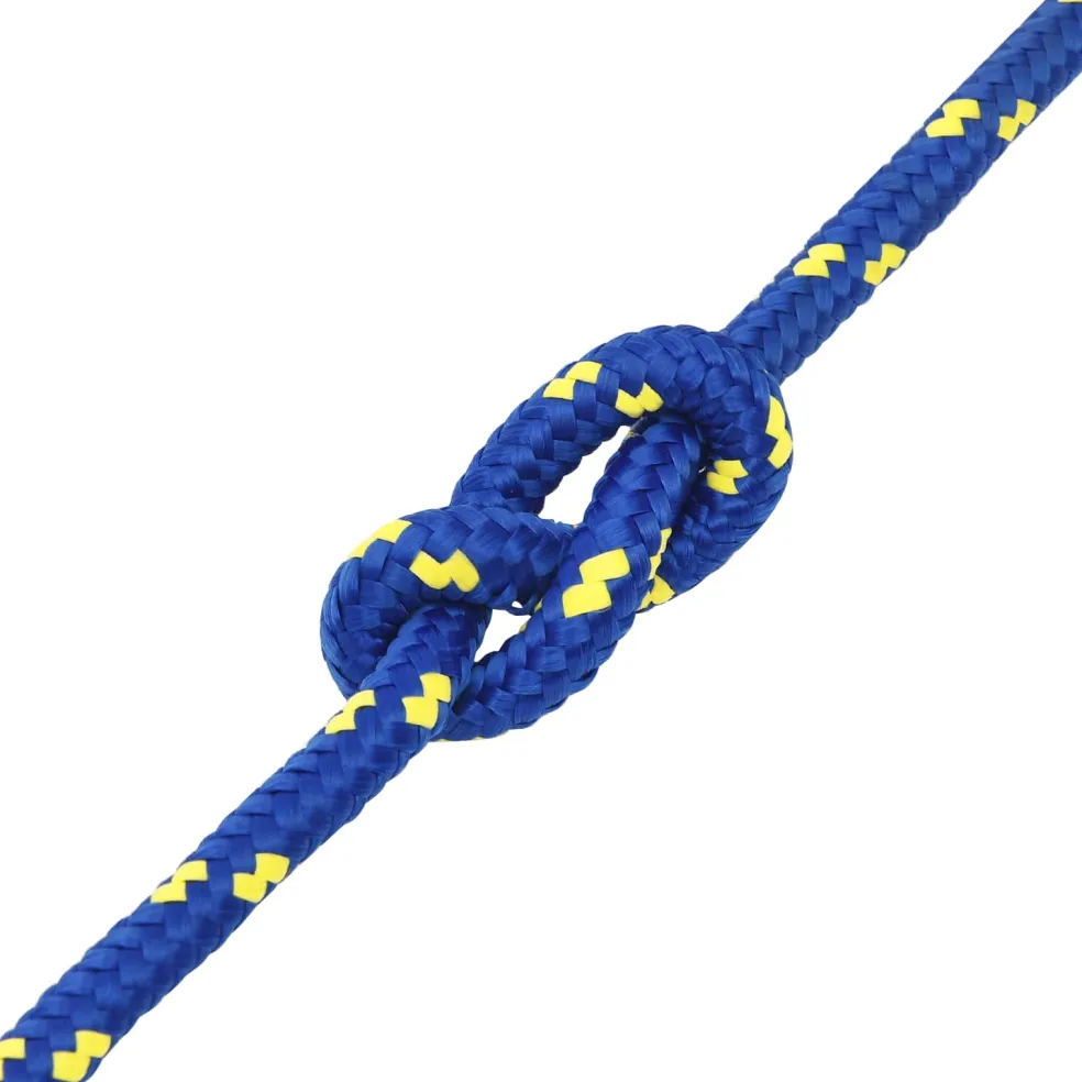 vidaXL Multifunctioneel gebruikstouw 12 mm 100 m Blauw PP