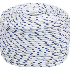 vidaXL Multifunctioneel gebruikstouw 10 mm 25 m Wit en Blauw PP