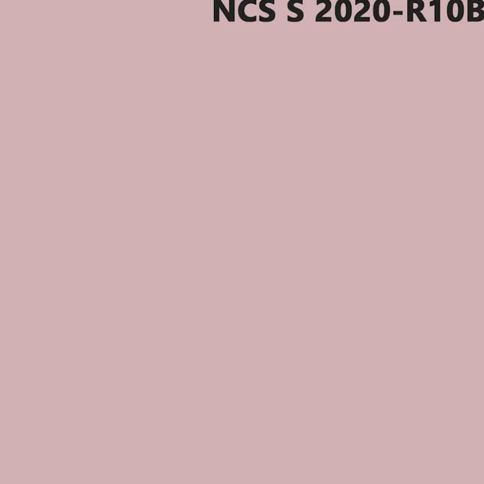 vidaXL Muurverf Roze 2,5 L Wandprint