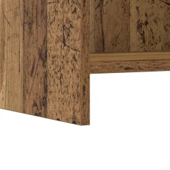 vidaXL Nachtkastjes Oud hout 40 x 30 x 60 cm Bewerkt hout