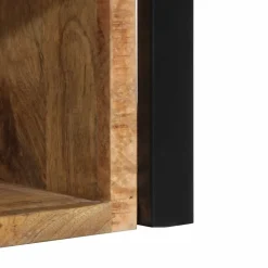 vidaXL Nachtkastje 40x35x40 cm massief ruw mangohout